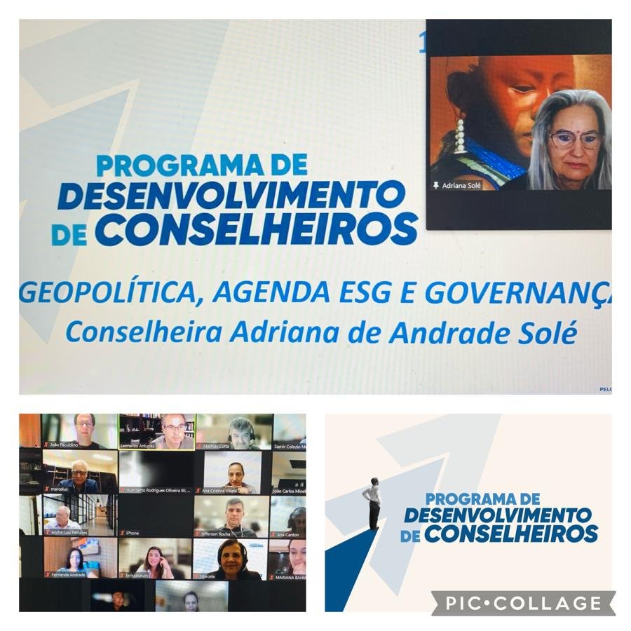 Geopolítica, Agenda ESG e Governança no Programa de desenvolvimento de Conselheiros do IEL/FIEMG