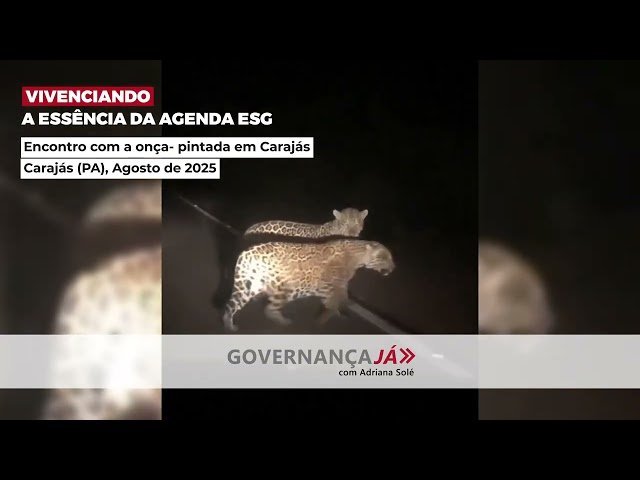 Vivenciando a agenda ESG: encontro com a onça-pintada em Carajás Vivenciando a agenda ESG: encontro com a onça-pintada em Carajás