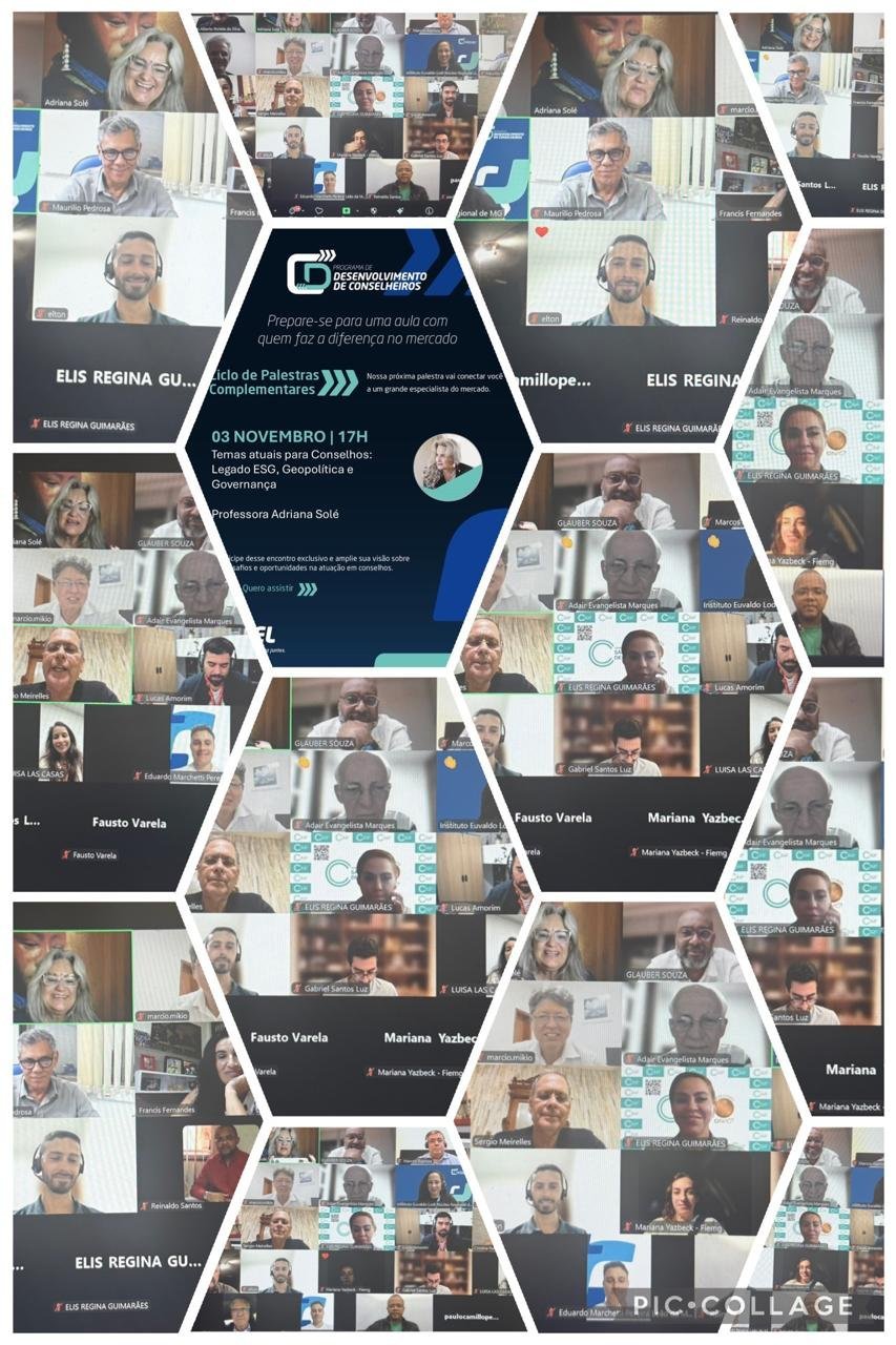 Temas atuais para os Conselhos na Turma 2 do Programa de Desenvolvimento de Conselheiros – IEL/FIEMG Temas atuais para os Conselhos na Turma 2 do Programa de Desenvolvimento de Conselheiros – IEL/FIEMG