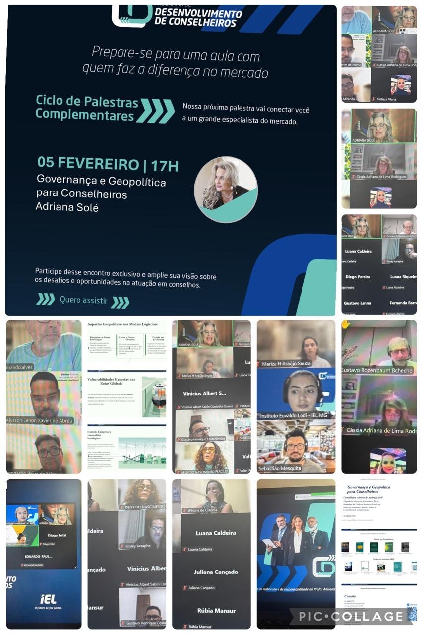 Programa de Desenvolvimento de Conselheiros – IEL/FIEMG: reflexões atuais e novos desafios